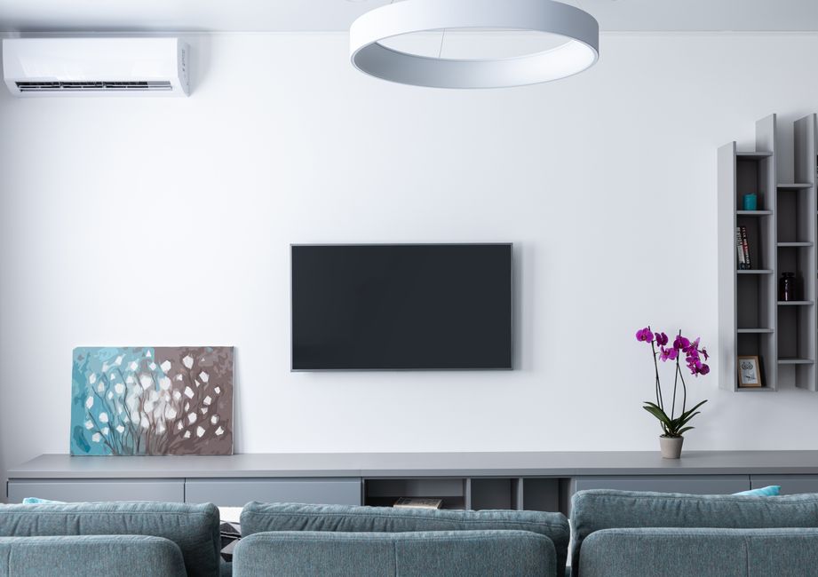 Contemporary living room decorated with purple flowers and rectangular shaped shelves handing on wall